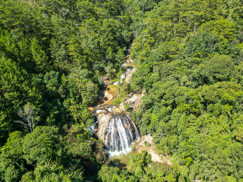 New Year's Eve in Da Lat
