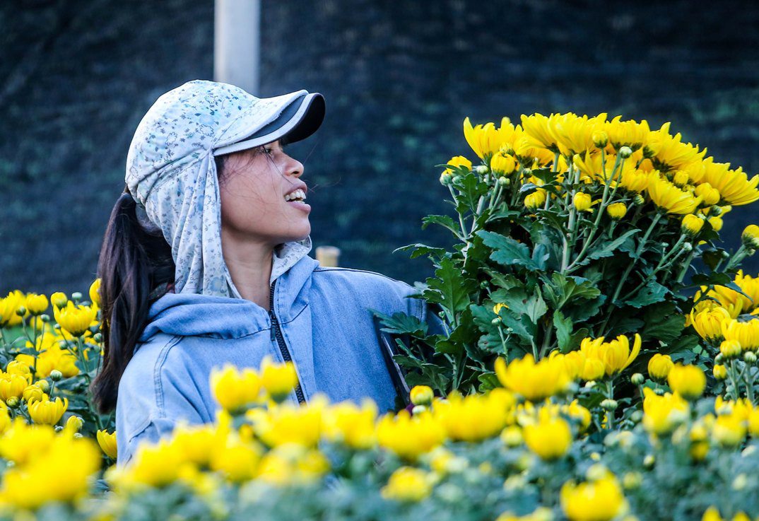 a florist collects the flowers