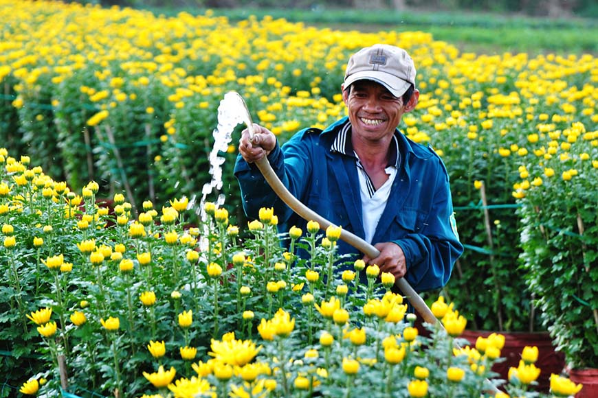 A florist waters his flower farm