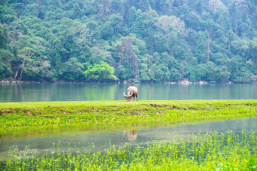 Ba Be National Park