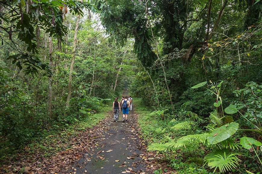 Cat Ba National Park