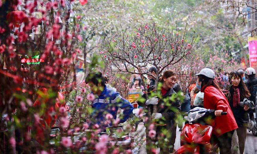 Découvrez le Têt (vacances du Nouvel An lunaire) dans trois régions du Vietnam