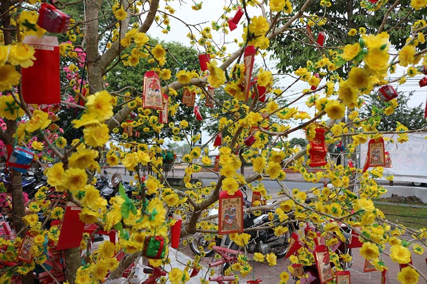 Découvrez le Têt (vacances du Nouvel An lunaire) dans trois régions du Vietnam