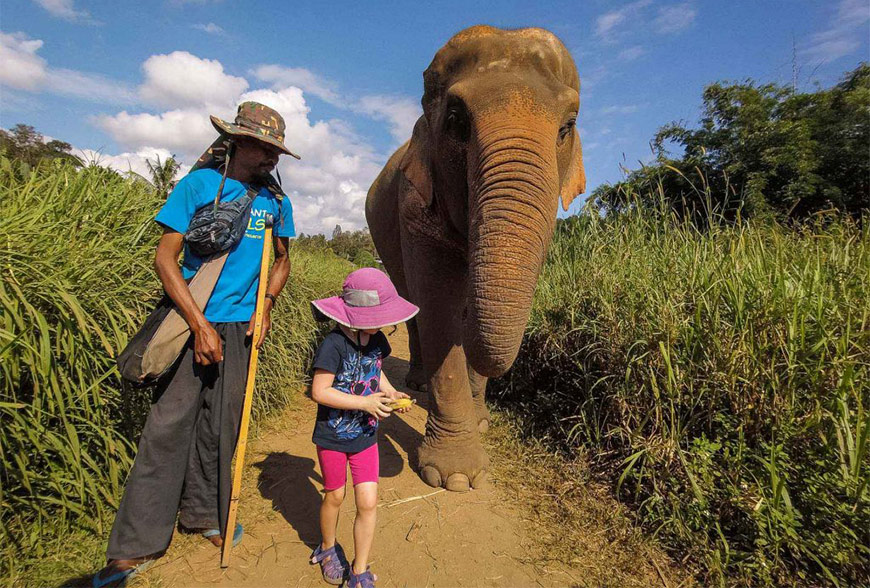 Elephant Nature Park in Chiang Mai