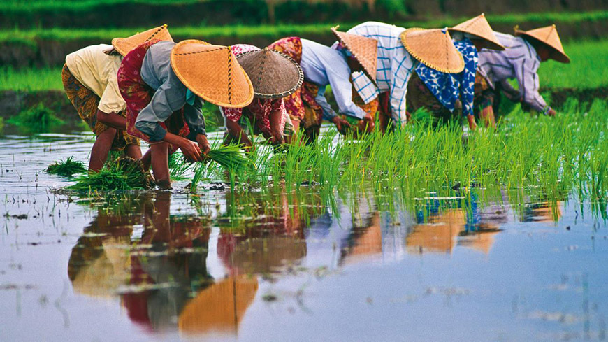 Get your Visa for Vietnam