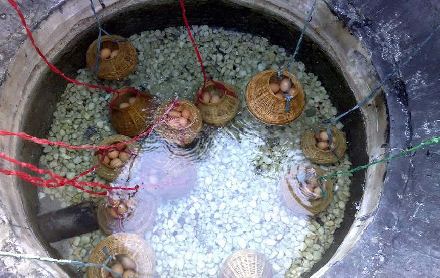 Hot springs in Binh Chau