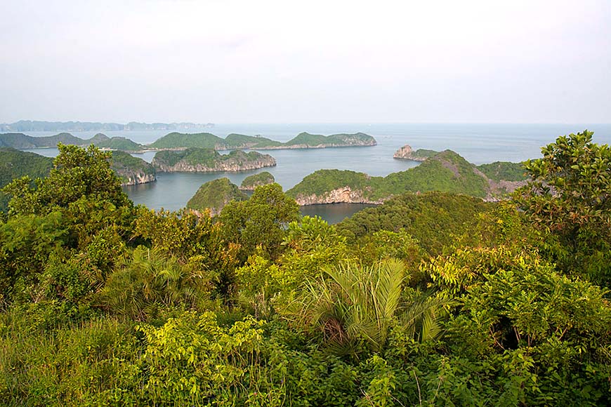 Cat Ba islands