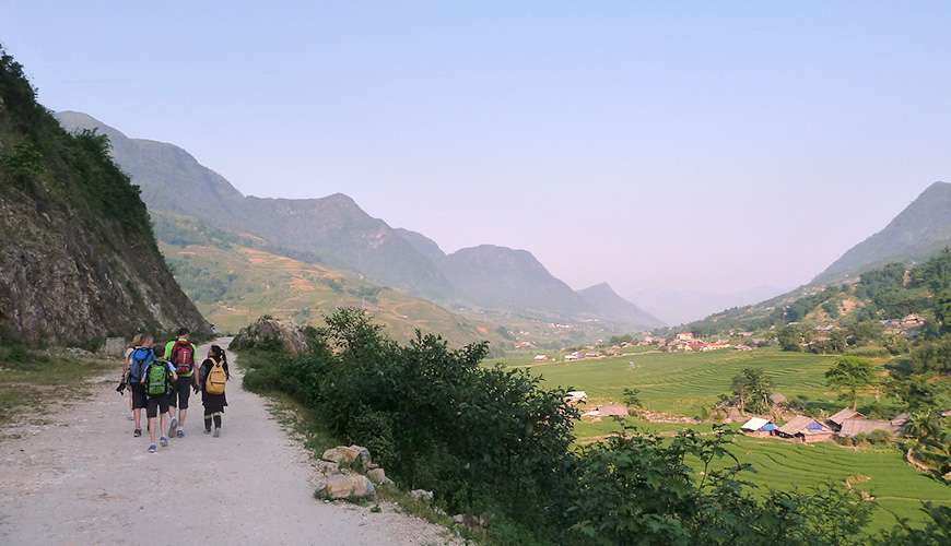 Sapa