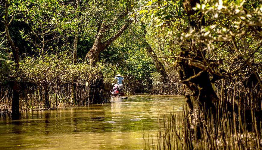 Mekong Delta