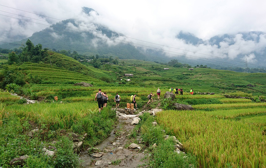 What Is the Best Time of Year to Visit Vietnam