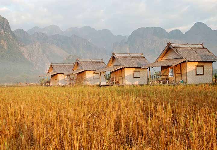 Rice field beside River Song, Laos, Where to go in 2018: Asia’s top spots