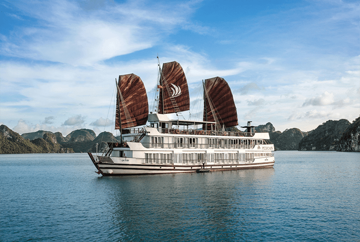 Pelican cruise baie d'Halong