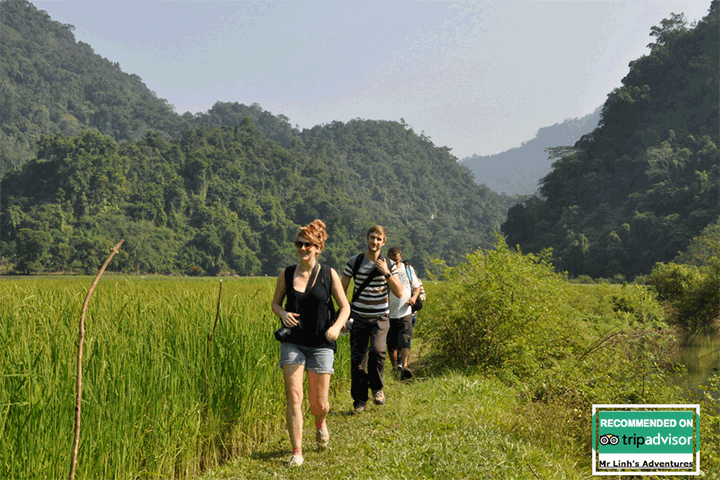 Ba Be national park, top 3 destinations for walking in north Vietnam