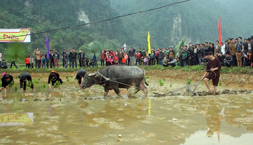 Long Tong Festival