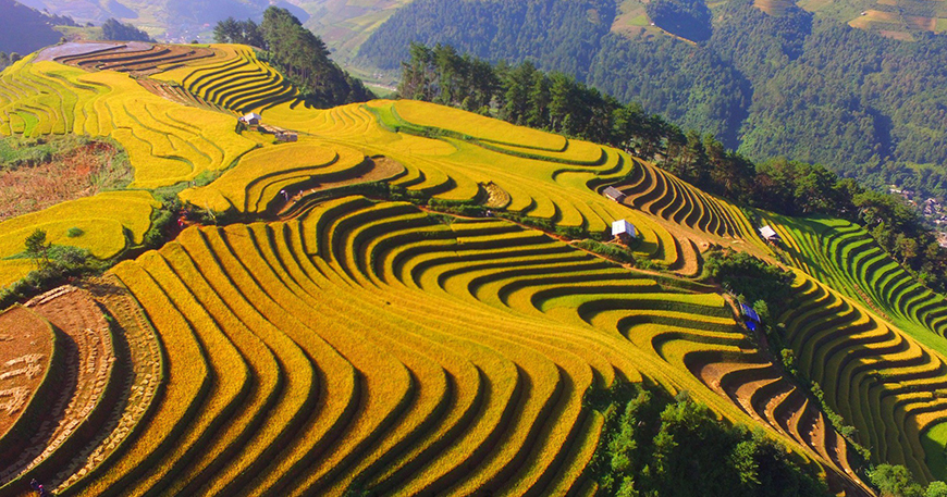 Les points forts à Mu Cang Chai avec le guide de voyage