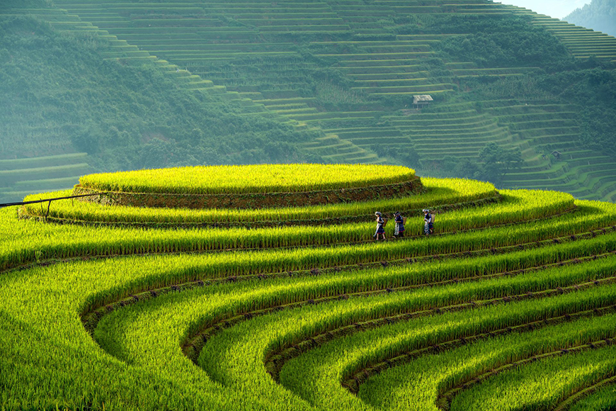 Les points forts à Mu Cang Chai avec le guide de voyage