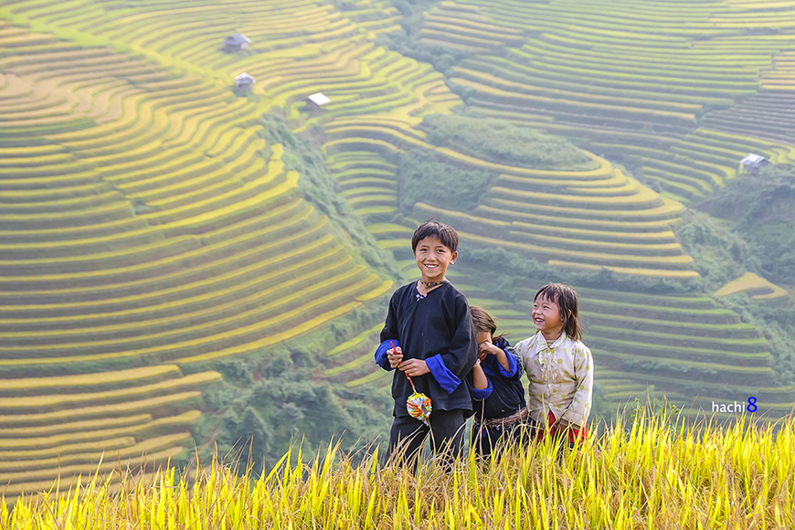 Mu Cang Chai highlights and travel guide