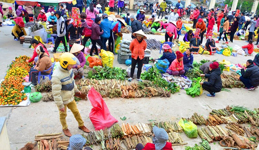 Binh Lieu - “Little Sapa of Quang Ninh province” highlights and travel guide