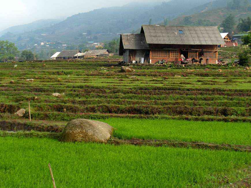 Trekking à Sapa