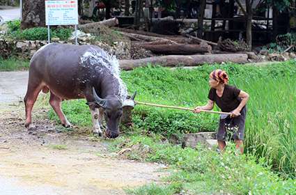 Cycling north Vietnam 4 days 3 nights