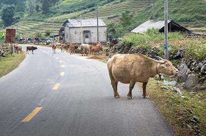 Trip from Hanoi Dien Bien Phu