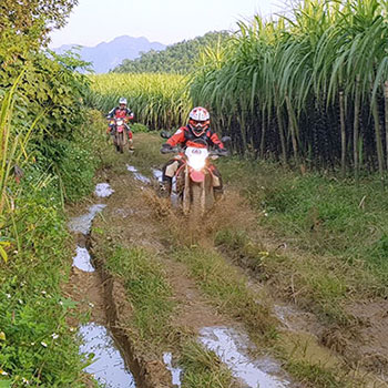 motorbiking tours outdoor activities