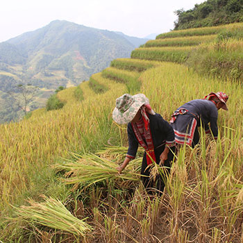 Off The Beaten Track Tours