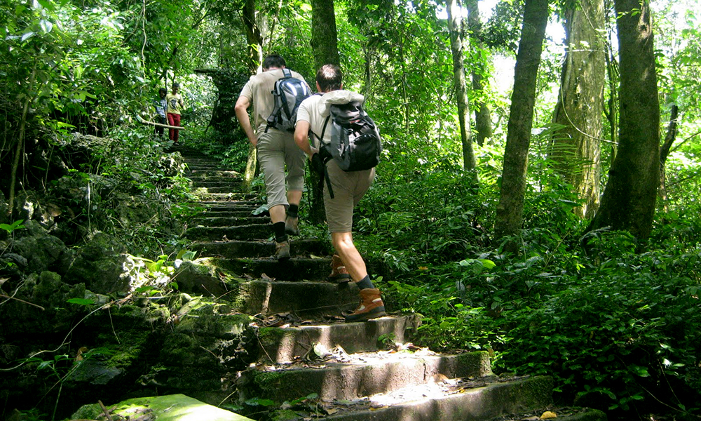 Good Walking Rythm 
