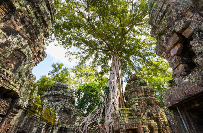 Cambodia - Laos 8 days 7 nights