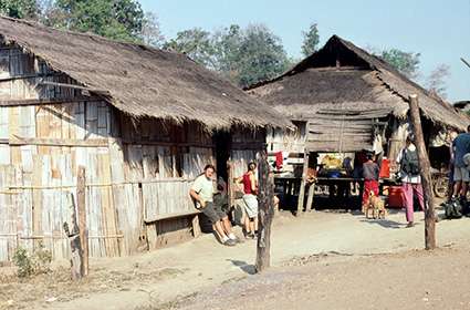 Palong Village