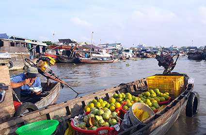 Adventure in Mekong Delta