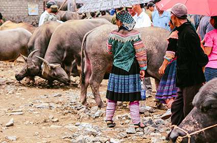 Bac Ha Market