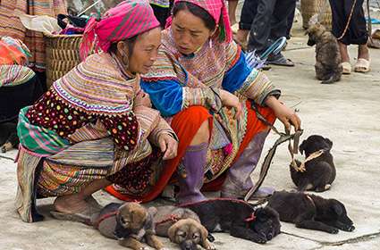 Bac Ha Market