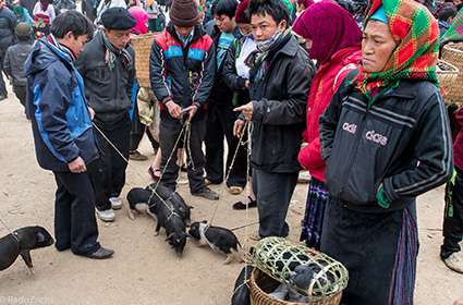 Discover Hagiang