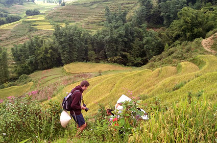 Sapa trekking