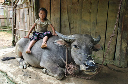Giang Ta Chai Village