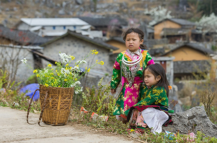 Ha Giang Loop 2 Days 1 Night
