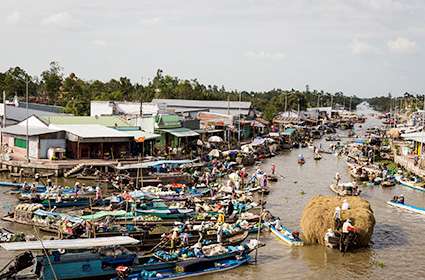 Mekong Delta