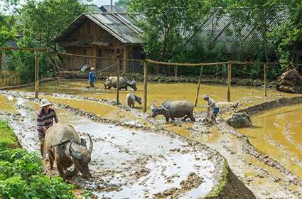 One day adventure in Sapa