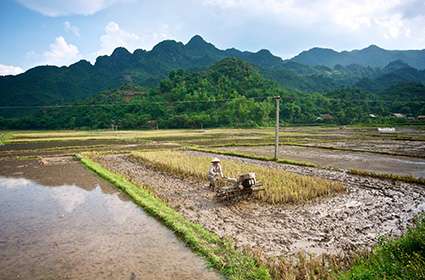 One day adventure to Mai Chau