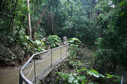 Phong Nha Ke Bang National Park