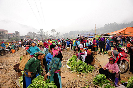 Highlights of Ha Giang 3 Days 2 Nights