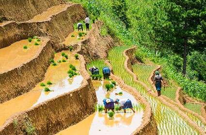 Mu Cang Chai valley