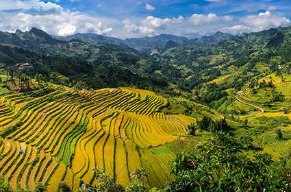 Bac Ha valley