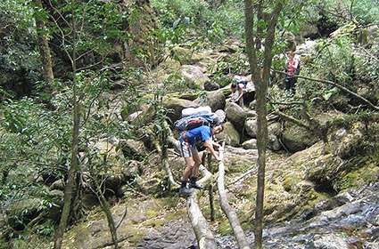 Climbing In Fansipan