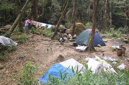 Climbing In Fansipan