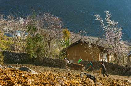 Ha Giang Dong Van