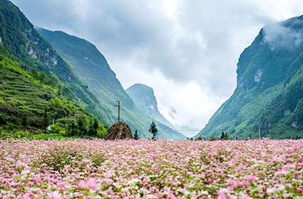 Hanoi - Ha Giang