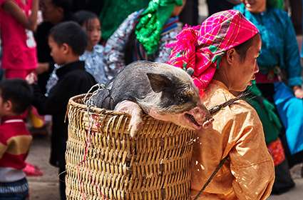 Vietnam motorbiking tour