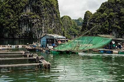 Kayaking In Lan Ha Bay